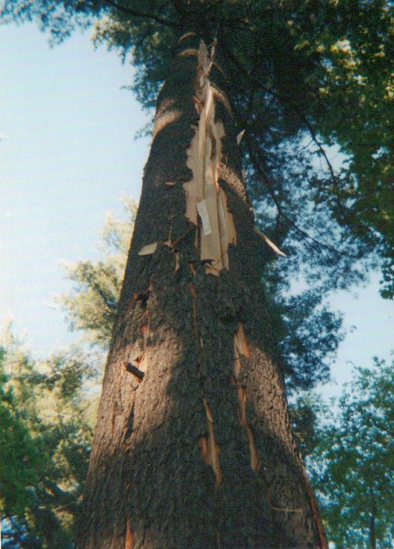 Storm Damage